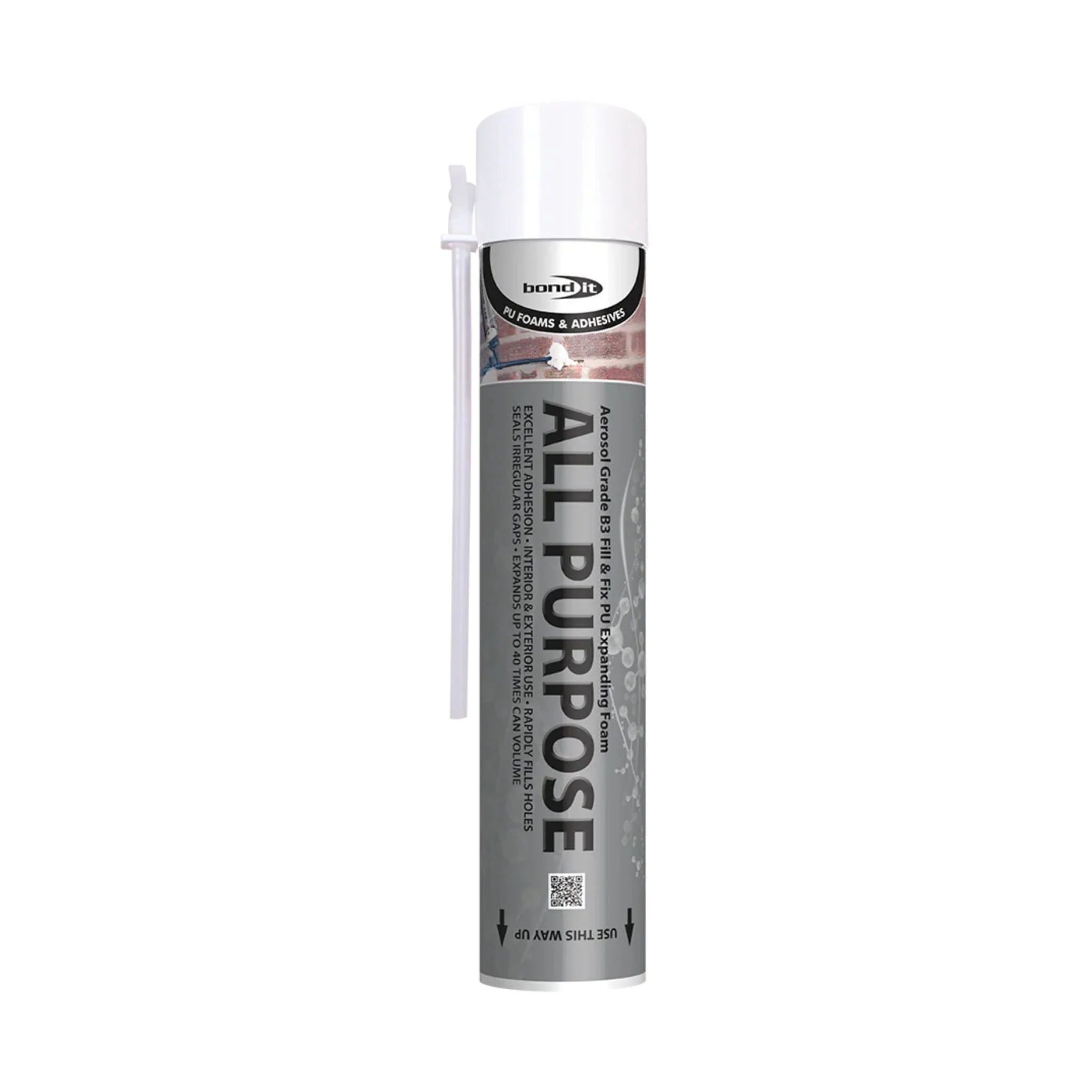 All Purpose Expanding Foam Hand Held 750ml