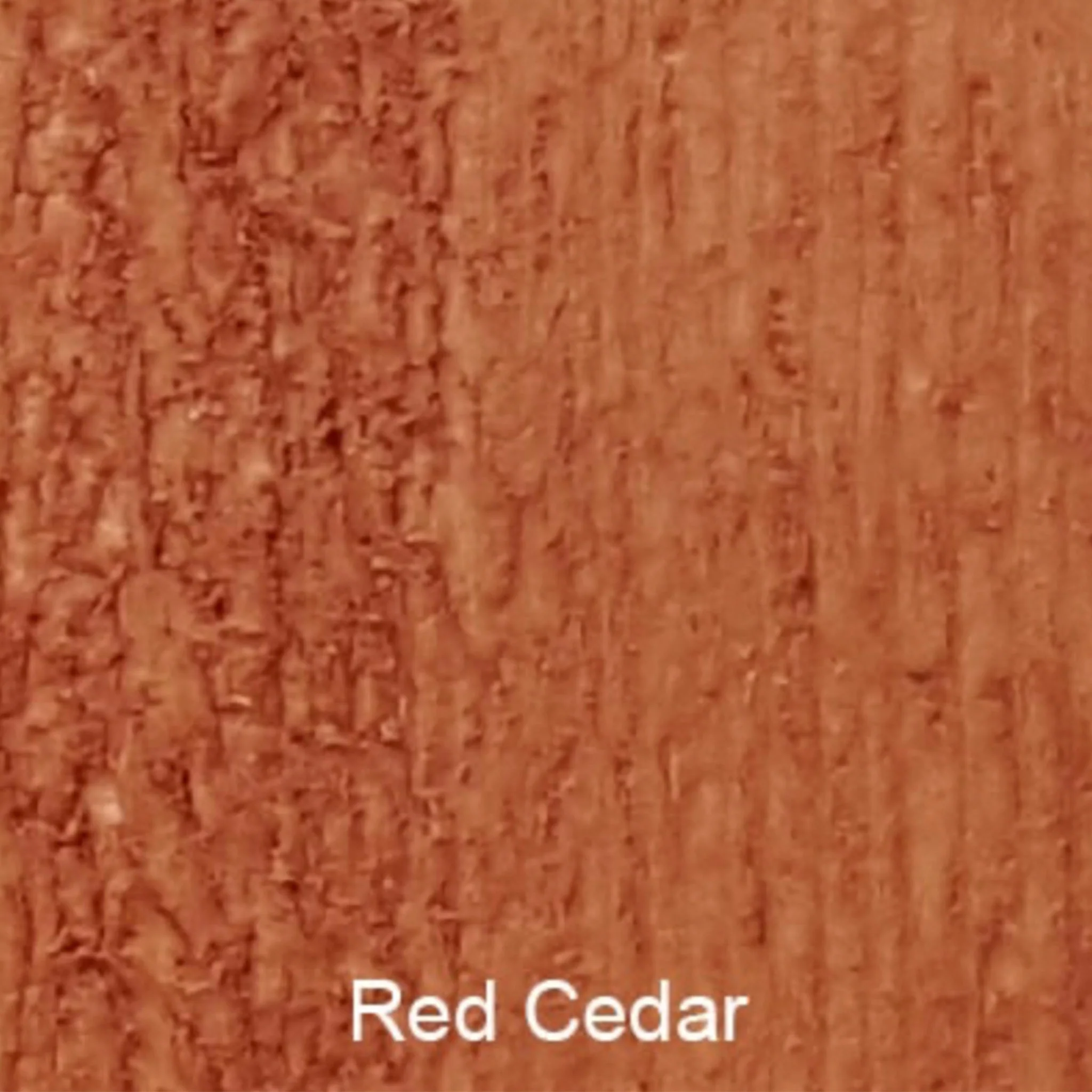Bird Brand Complete Wood Preserver - Image 4