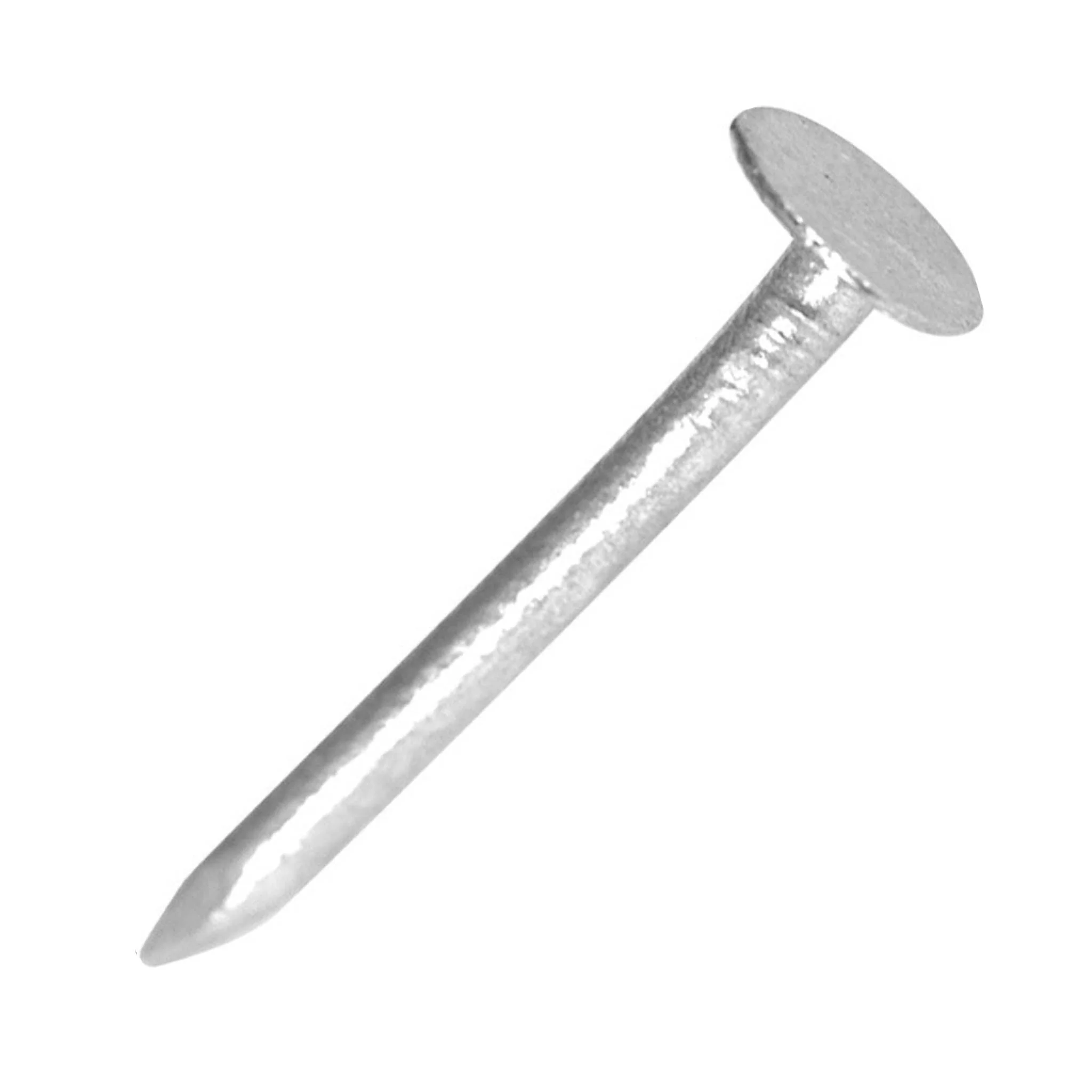Clout Nails Galvanised Extra Large Head 30mm - 1kg