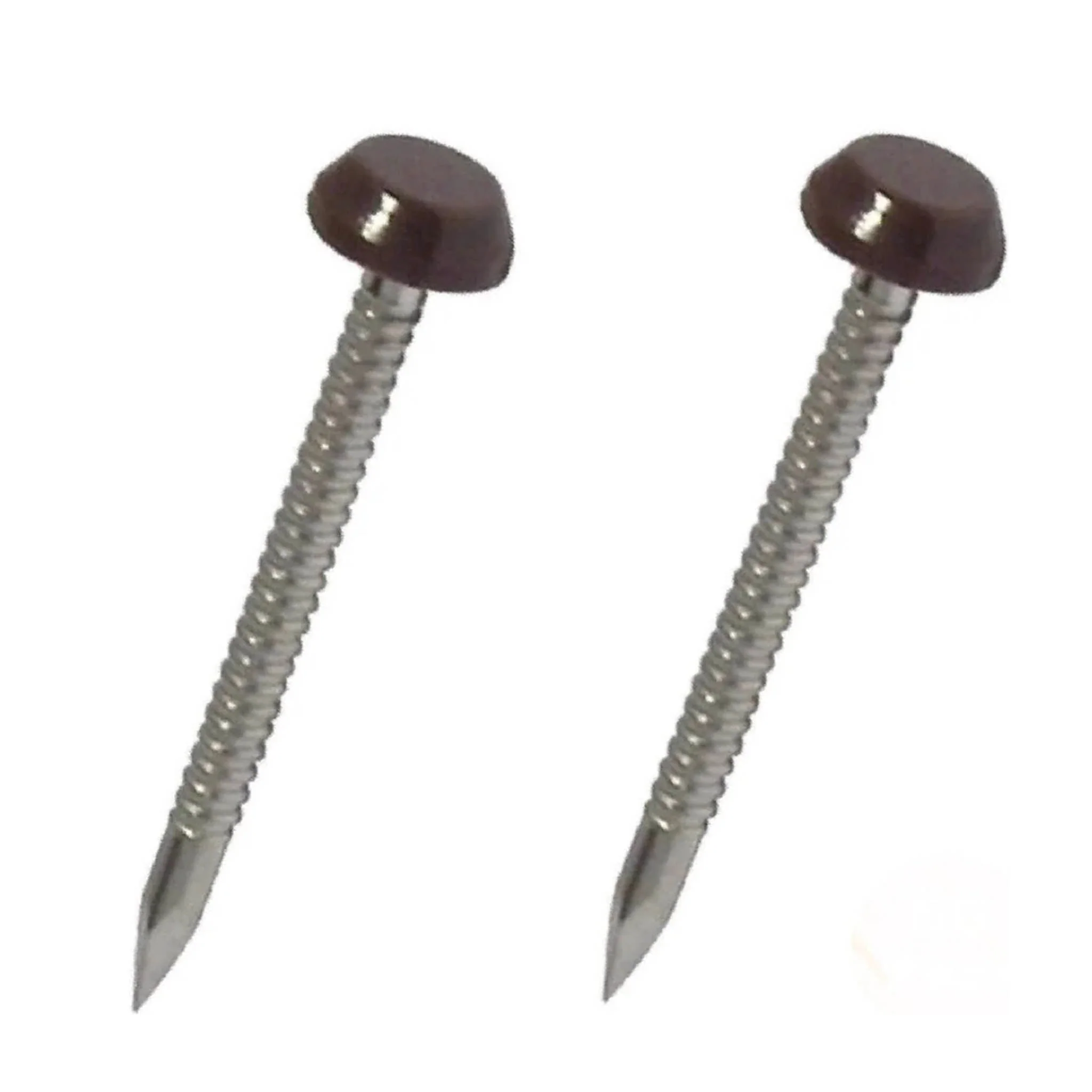 Stainless Polytop Nails Chocolate Brown 50mm 100 Box