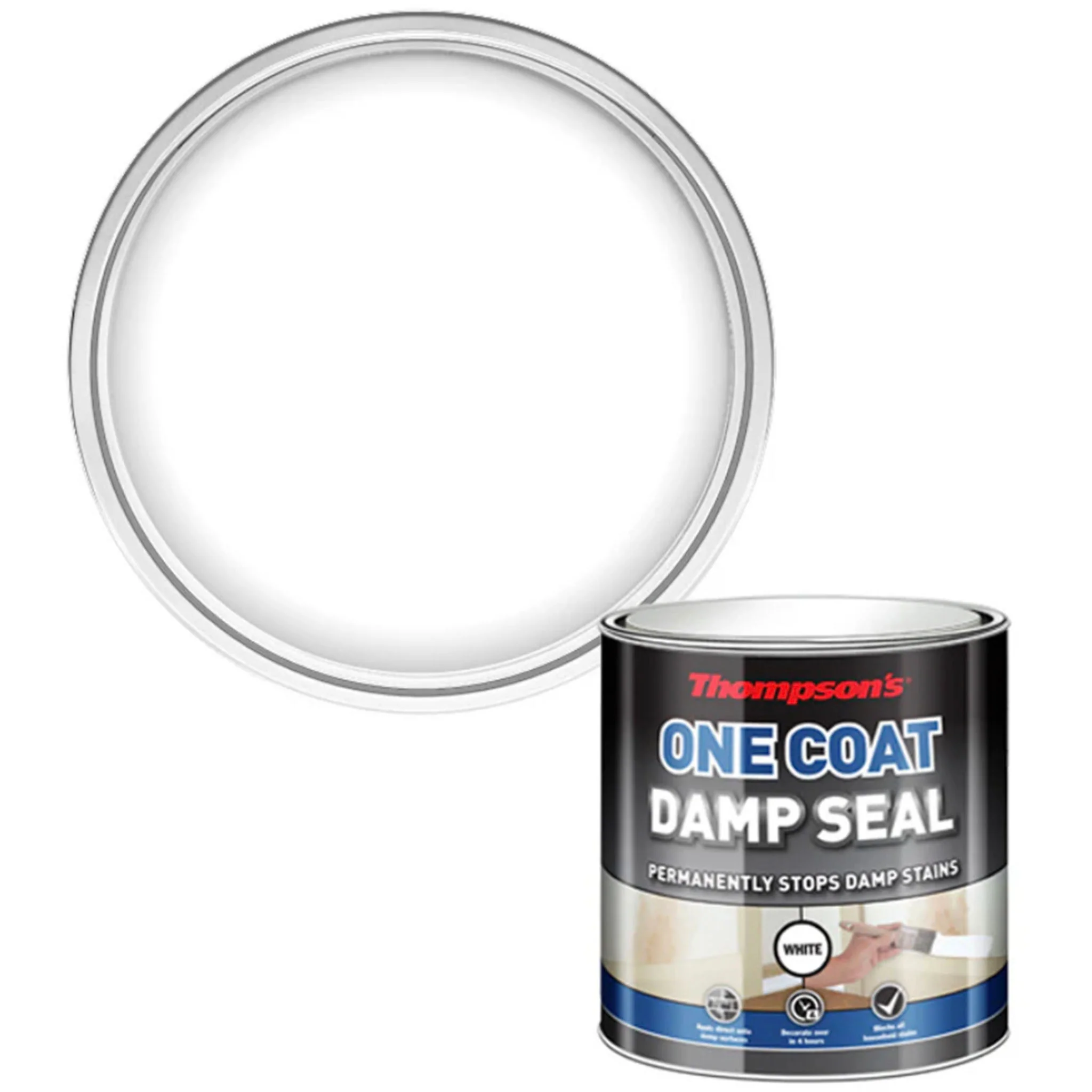 Thompsons One Coat Damp Seal - Image 4