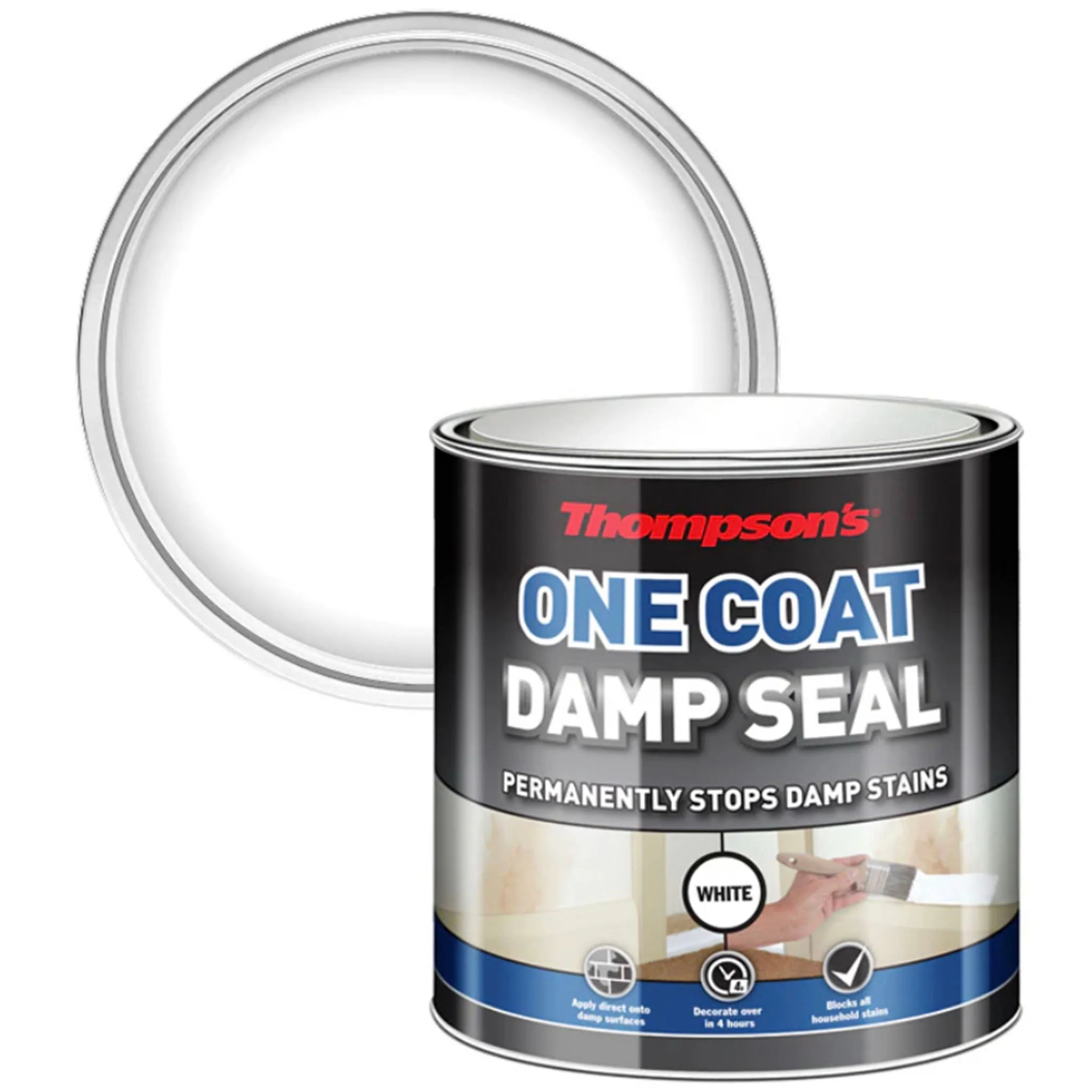 Thompsons One Coat Damp Seal - Image 5