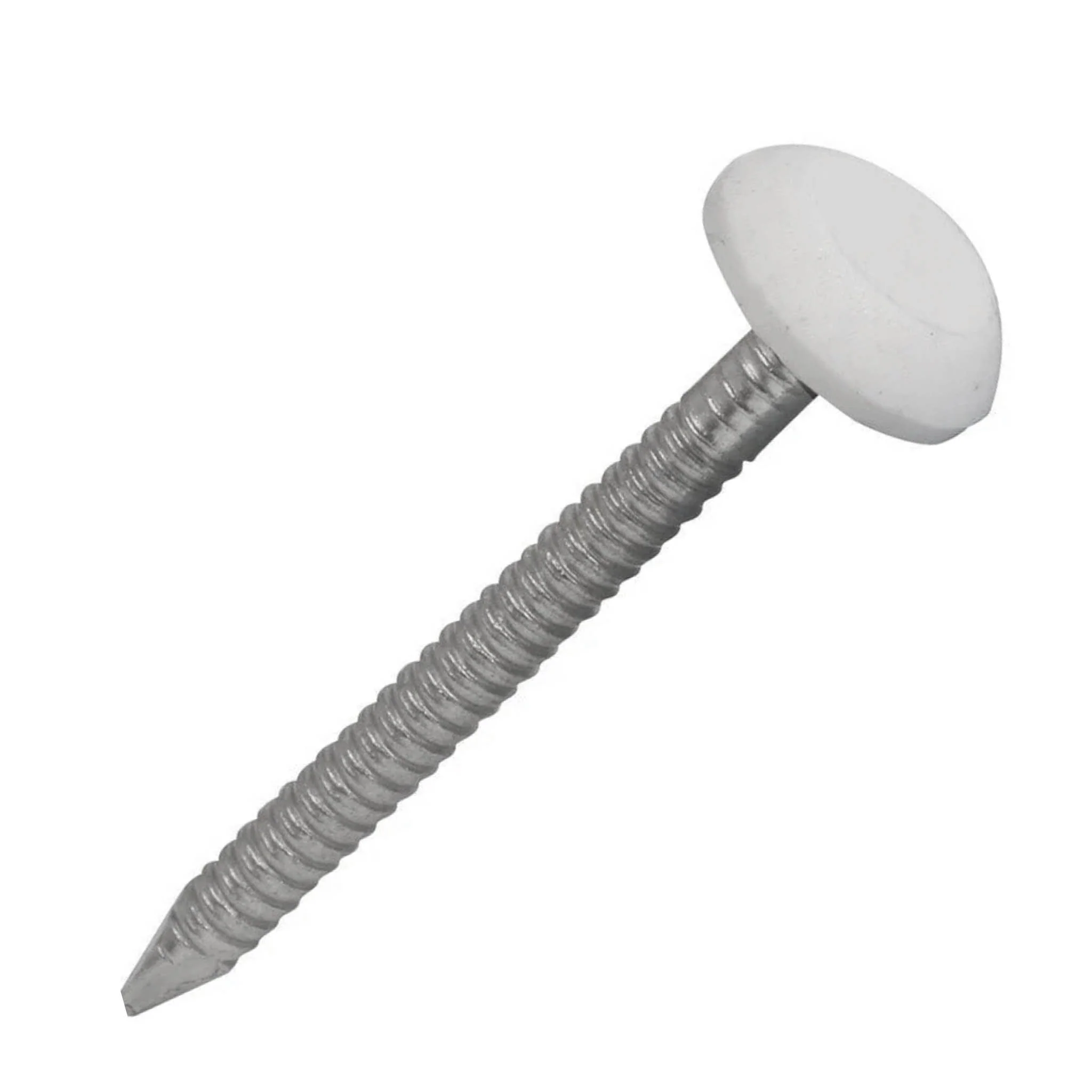 White Headed Polytops Stainless Nails 40mm - 100 Box